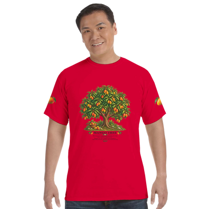 d63b3520-e1d8-4483-8ccf-90d787bbaf62